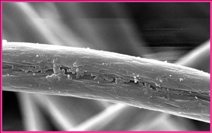 textile fibre under an electron microscope