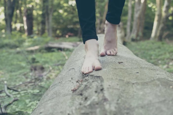 bare feet walking on a log with forest in the background